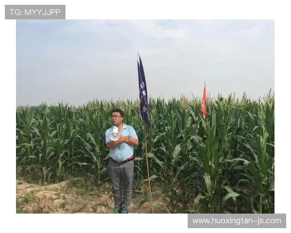 KT Rolster战队重塑辉煌征程分析从赛场到战术创新全方位揭秘